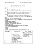 TÍCH CỦA MỘT VECTƠ VỚI MỘT SỐ (Số tiết 4: Hình Học Nâng Cao ) pot