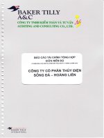 báo cáo tài chính tổng hợp giữa niên độ 6 tháng đầu năm tài chính kết thúc 31 tháng 12 năm 2013 công ty cổ phần thủy điện sông đà hoàng liên