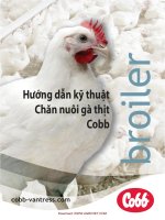 kỹ thuật nuôi gà thịt ppsx