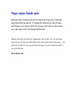 Ngọt ngào bánh quê Bánh quê luôn là những món quà mà người đi xa hay mua về làm doc