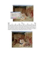 Giáo trình photoshop: Hướng dẫn thực hiện kĩ thuật tạo ảnh nền màu phần 6 ppsx