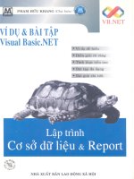 Ví dụ và bài tập Visual Basic.Net part 1 pps