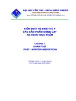 Kiểm soát quá trình vệ sinh trong thú y_c7 ppt