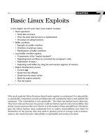 gray hat hacking the ethical hackers handbook phần 4 pptx