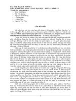 Bình luận về tình trạng nghèo đói và chính sách xoá đói giảm nghèo đối với đồng bào dân tộc thiểu số ở nước ta hiện nay