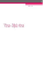 Bệnh virut trên động vật thủy sản pot