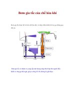 Bơm gia tốc của chế hòa khí pot