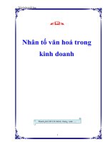 Nhân tố văn hoá trong kinh doanh ppt
