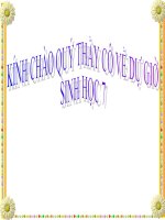 đa dạng và vai trò của lớp giác xác