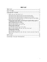 Phân tích diện thừa kế và hàng thừa kế theo pháp luật