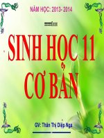 các nhân tố ảnh hưởng đến sinh trưởng phát triển ở động vật