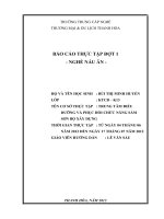 BÁO CÁO KIẾN TẬP trung tâm điều dưỡng PHỤC HỒI CHỨC NĂNG SẦM SƠN