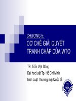 Cơ chế giải quyết tranh chấp của WTO
