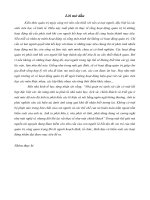 hiện nay rất nhiều công ty áp dụng mô hình tổ chức theo ma trận (matrix), bạn hãy nêu mục đích và điều kiện áp dụng mô hình này, sau đó rút ra kết luận