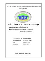 BÁO CÁO KIẾN TẬP CÔNG TY TNHH CAO NGUYỄN, KHÁCH sạn CAO NGUYỄN