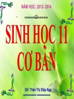 điều khiển sinh sản ở động vật