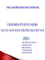 CHẤM ĐIỂM TÍN DỤNG NỘI BỘ TẠI CÁC NGÂN HÀNG THƯƠNG MẠI VIỆT NAM