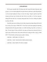 Đề xuất một số giải pháp phát triển CÔNG TY TNHH MTV y TRẦN