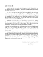 Báo cáo Thiết bị đầu cuối audio và video