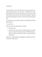 chiến lược chiêu thị cho sản phẩm sữa tắm chiết xuất hoa anh đào của skin food