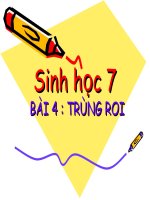 bài giảng sinh học 7 trùng roi