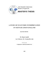 a study of statutory interpretation  in vietnam and in england