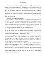 ứng dụng những hạt nhân hợp lý của nguyên tắc phân chia quyền lực