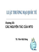 Chương 3: Các nguyên tắc của WTO