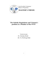 the subsidy regulations and vietnam’s position as a member of the wto
