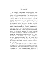 Hoàn thiện hoạt động phân tích tài chính của công ty TNHH việt đôn