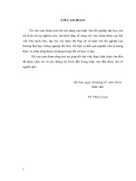 Phân tích hiệu quả hoạt động kinh doanh tại công ty cổ phần đầu tư và phát triển dg việt nam