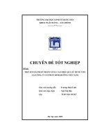 Nâng cao hiệu quả sử dụng vốn tại công ty cổ phần dinh dưỡng việt nam