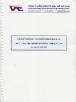 công ty cổ phần văn phòng phẩm hồng hà báo cáo tài chính đã được kiểm toán năm 2010