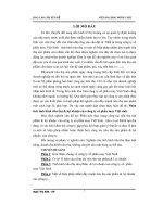 Phân tích tình hình tiêu thụ  lợi nhuận của công ty cổ phần may việt sinh