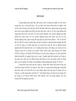 Nâng cao hiệu quả sử dụng vốn tại công ty cổ phần nhựa thiếu niên tiền phong