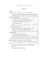 Phân tích tài chính công ty cổ phần thương mại tân thành