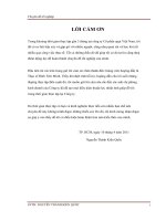 xây dựng giá trị thương hiệu quạt asiavina của công ty cổ phần quạt việt nam tại thành phố hồ chí minh