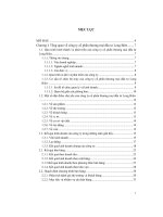 Tổ chức bán hàng ở công ty cổ phần thương mại đầu tư long biên