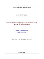 Nghiên cứu xâm nhập mặn nước dưới đất trầm tích Đệ tứ vùng Nam Định (tóm tắt)