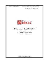 công ty cổ phần văn phòng phẩm hồng hà báo cáo tài chính 9 tháng 2013