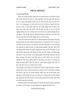 Hoàn thiện công tác phân tích tài chính tại công ty cổ phần everpia việt nam