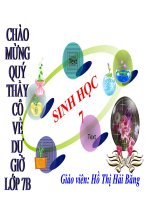 bài giảng sinh học 7 cấu tạo trong cá chép