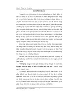 Nâng cao hiệu quả sử dụng vốn tại công ty cổ phần đầu tư phát triển xây dựng và dịch vụ thương mại hà nội
