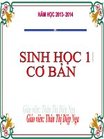 dinh dưỡng nitơ ở thực vật có điều chỉnh