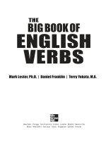 The big book of english verbs mcgraw hill