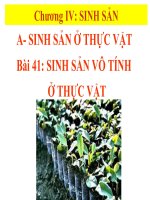 sinh sản hưu tính ở động vật