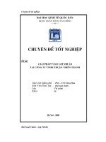 Giải pháp tăng lợi nhuận tại công ty TNHH thuận thiên thành