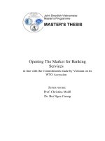 opening the market for banking services in line with the commitments made by vietnam on its wto accession