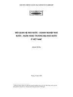 MỐI QUAN HỆ NHÀ NƯỚC  DOANH NGHIỆP NHÀ NƯỚC NGÂN HÀNG THƯƠNG MẠI NHÀ NƯỚC Ở VIỆT NAM