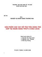 Tiểu luận nghiệp vụ ngân hàng thương mại Sản phẩm cho vay hỗ trợ tiêu dùng trả góp tại ngân hàng TMCP Á Châu ACB